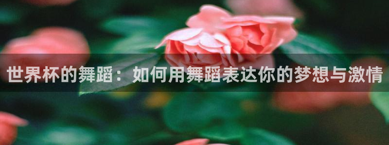 世界杯葡萄牙赛程:世界杯的舞蹈:如何用舞蹈表达你的梦想与激情