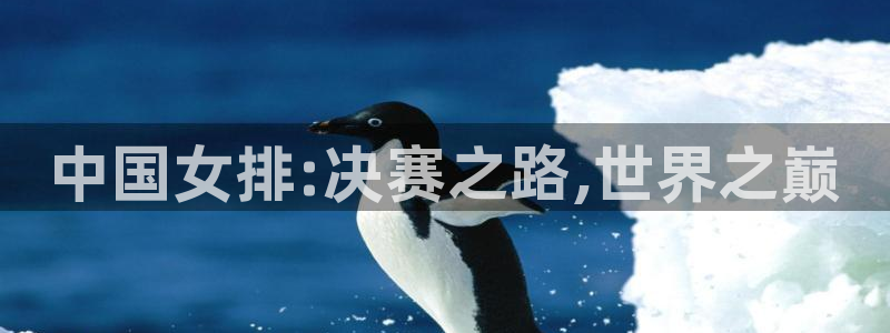 2026足球世界杯:中国女排:决赛之路,世界之巅