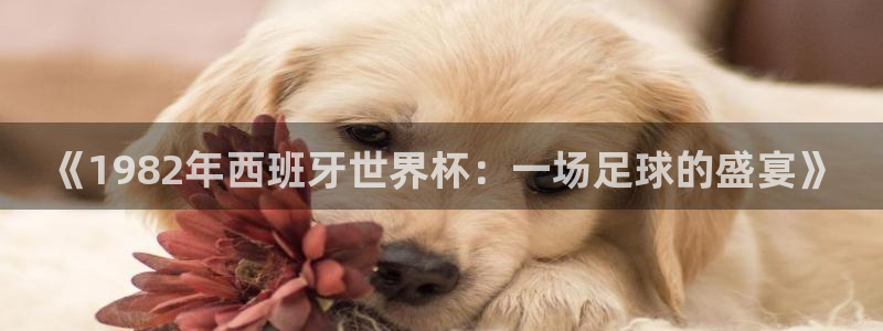 世界杯亚洲预选赛18强赛程:《1982年西班牙世界杯:一场足球的盛宴》