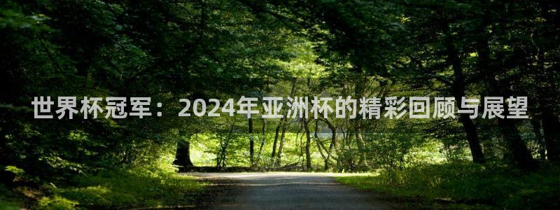 世界杯亚洲预选赛18强赛程:世界杯冠军:2024年亚洲杯的精彩回顾与展望