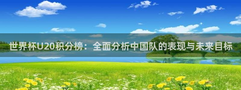 世界杯附加赛赛程表:世界杯U20积分榜:全面分析中国队的表现与未来目标