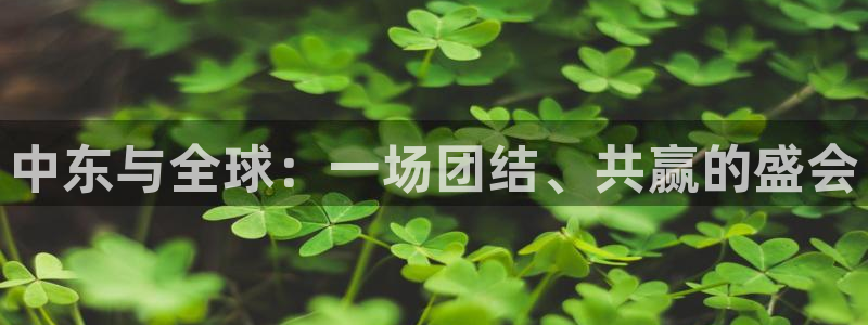 2026年世界杯对阵图:中东与全球:一场团结、共赢的盛会