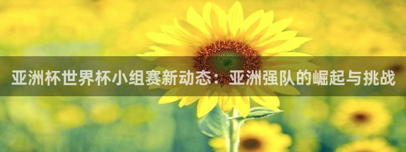 欧洲区世界杯预选赛:亚洲杯世界杯小组赛新动态:亚洲强队的崛起与挑战