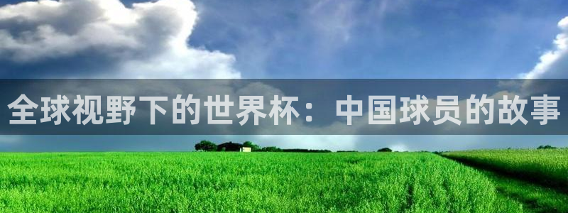 今天所有足球赛程表:全球视野下的世界杯:中国球员的故事