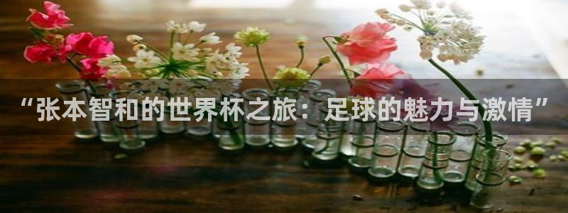 世界杯预选赛赛程:“张本智和的世界杯之旅:足球的魅力与激情”